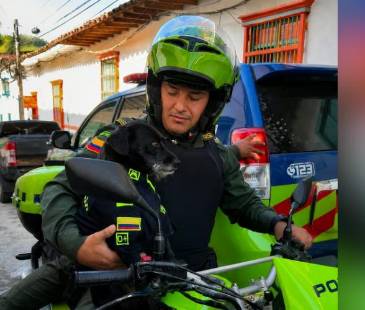 Él era Barbas, el perrito que acompañó a la policía en Concepción, Antioquia. FOTO: CORTESÍA