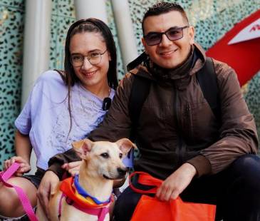 <span class="mln_uppercase_mln">Son</span><b><span class="mln_uppercase_mln"> más de 80 animales los que están listos para adoptar. FOTO: ALCALDÍA DE MEDELLÍN </span></b>
