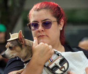 <span class="mln_uppercase_mln">La</span><b><span class="mln_uppercase_mln"> carrera ‘Corre por los animales’ se realizará en Medellín. FOTO: CAMILO SUÁREZ</span></b>