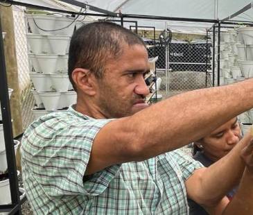 Las huertas han sido una alternativa para las familias del sector. FOTO: JAIDER ESCOBAR
