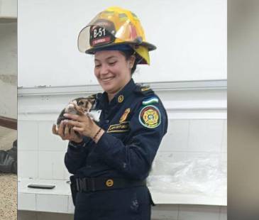 La gata llevaba tres días atrapada en el conducto. FOTOS: FACEBOOK BOMBEROS LA ESTRELLA