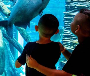 El parque explora es uno de los planes preferidos por la gente. FOTO: EL COLOMBIANO