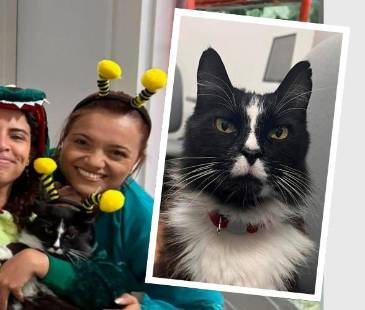 A Michín lo han integrado hasta en las fiestas, pues ya es uno más del equipo. FOTO: ALCALDÍA DE MEDELLÍN