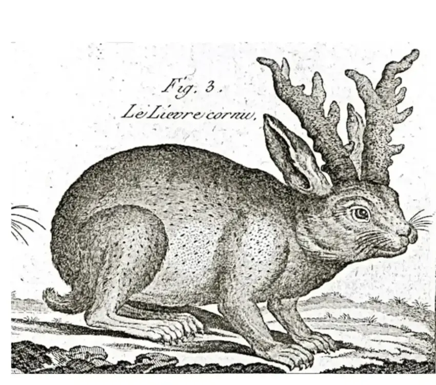 / FOTO: NATIONAL GEOGRAPHIC - USO PÚBLICO