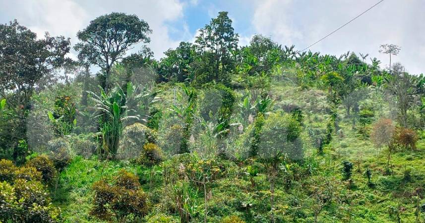 En este sector de la vereda El Tablazo, en Barbosa, le cayó el rayo al policía. /FOTO: MAURICIO ANDRÉS PALACIO BETANCUR 