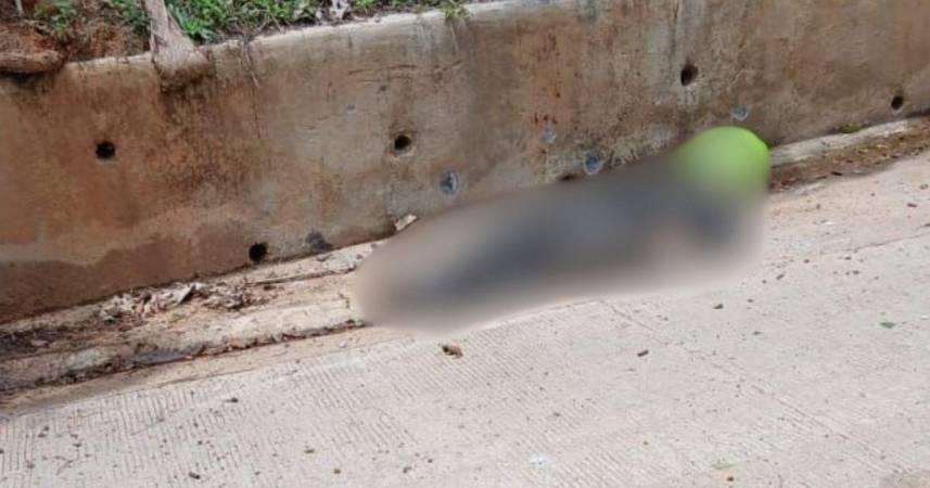 El ataque se registró en el sector conocido como La Cumbre, una zona apartada donde los uniformados cumplían su recorrido habitual. / FOTO: CORPADES