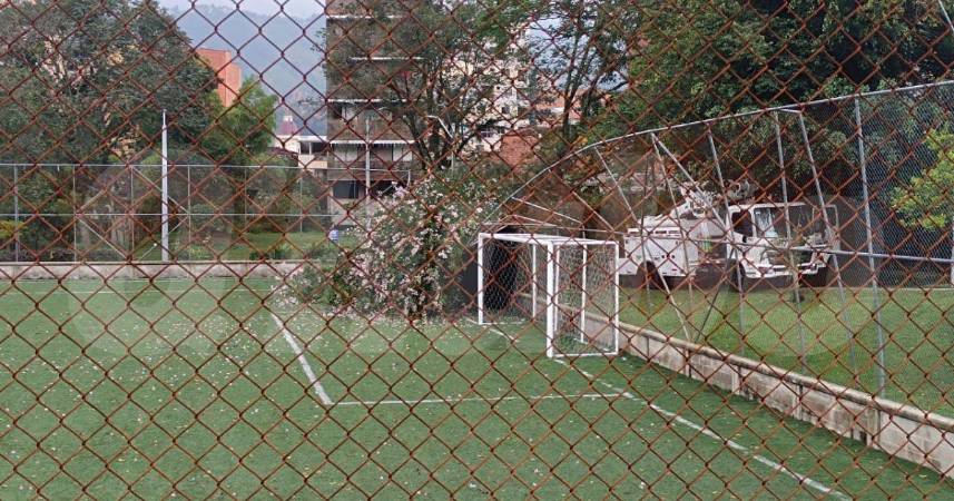 Un árbol cayó sobre una de las mallas en la cancha de La Locería. FOTO: CRISTIAN VÁSQUEZ
