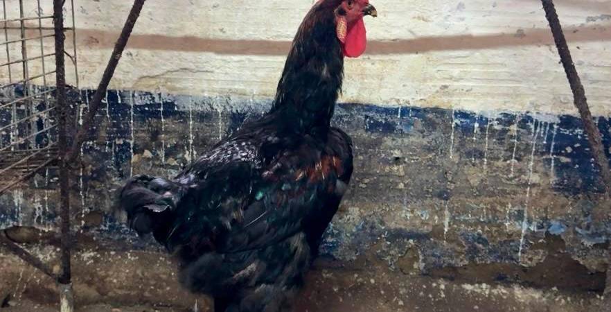 /FOTO: ALCALDÍA DE MEDELLÍN