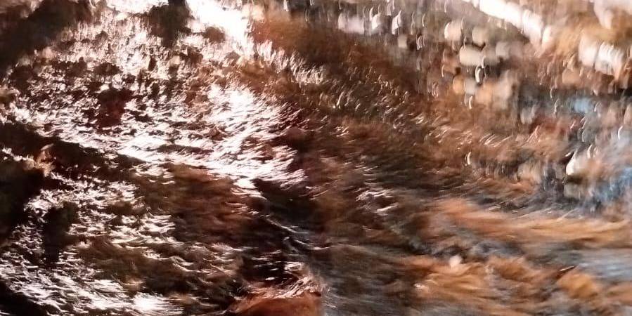 Inundaciones en Santa Rita. /FOTO: JAIRO PIEDRAHITA-ALCALDÍA DE BELLO 