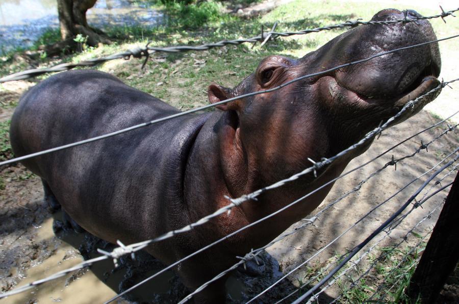 FOTO: RÓBINSON SÁENZ - ARCHIVO