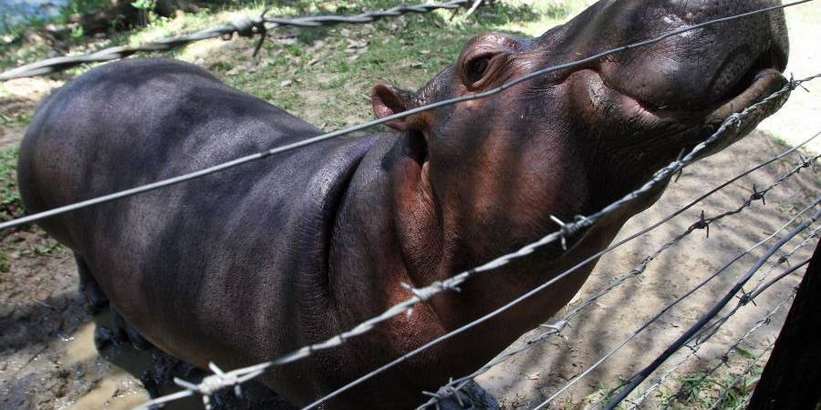 FOTO: RÓBINSON SÁENZ - ARCHIVO