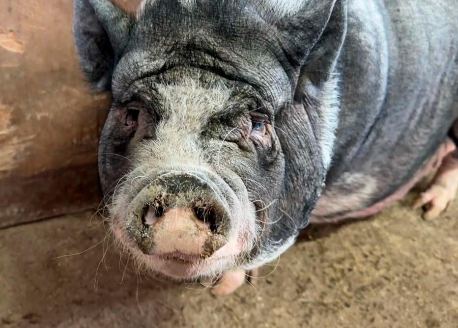 /FOTO: ALCALDÍA DE MEDELLÍN