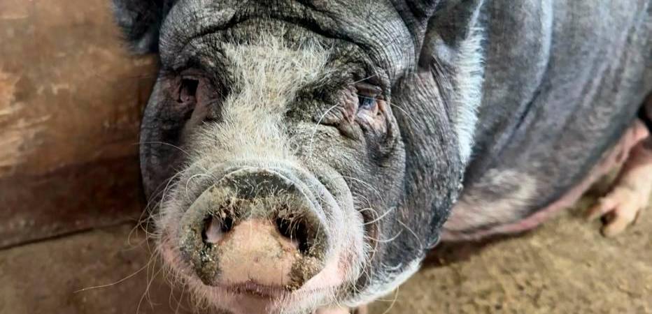 /FOTO: ALCALDÍA DE MEDELLÍN