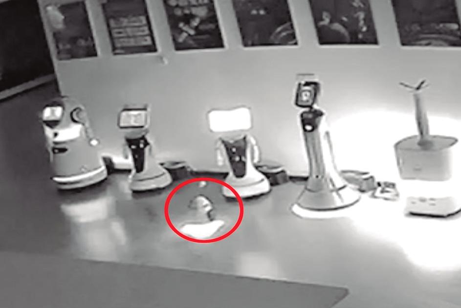 Decimos adiós al 2024 con lo más descabellado