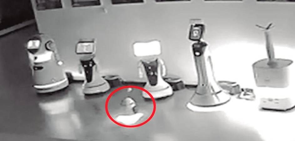 Decimos adiós al 2024 con lo más descabellado