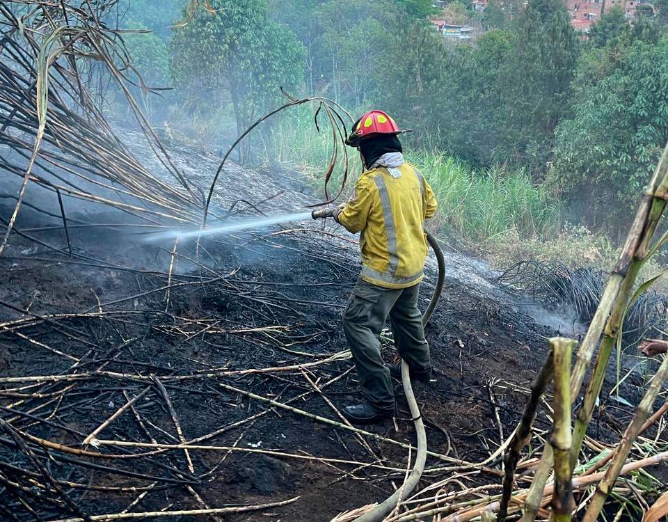 $!El incendio fue controlado en su totalidad. /FOTO: ALCALDÍA DE BELLO.