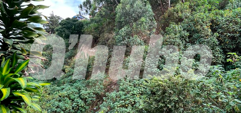 La zona, que es utilizada como escombrera, es de difícil acceso. /FOTO: ANDRÉS FELIPE OSORIO GARCÍA 