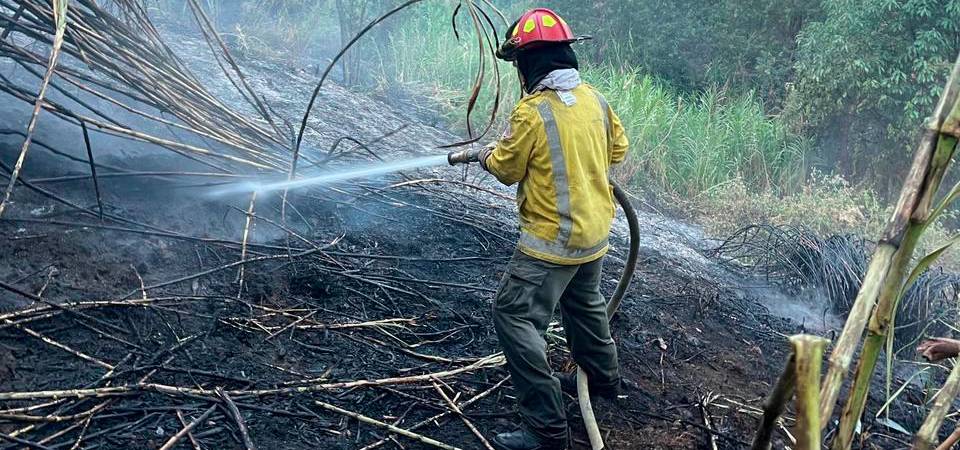 El incendio fue controlado en su totalidad. /FOTO: ALCALDÍA DE BELLO.