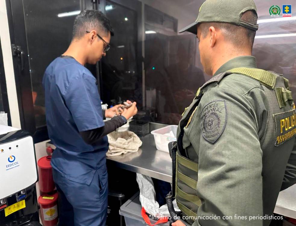 Las dos boas constrictor quedaron en poder de las autoridades competentes, las cuales se encargaron de valorarlas. /FOTO: CORTESÍA